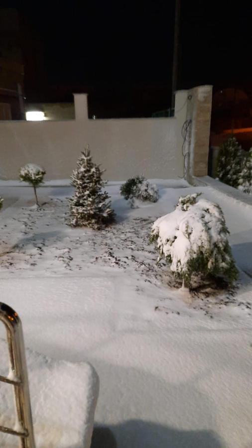 Casa Andi Apartman Năvodari Kültér fotó