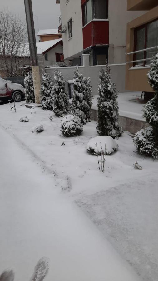Casa Andi Apartman Năvodari Kültér fotó