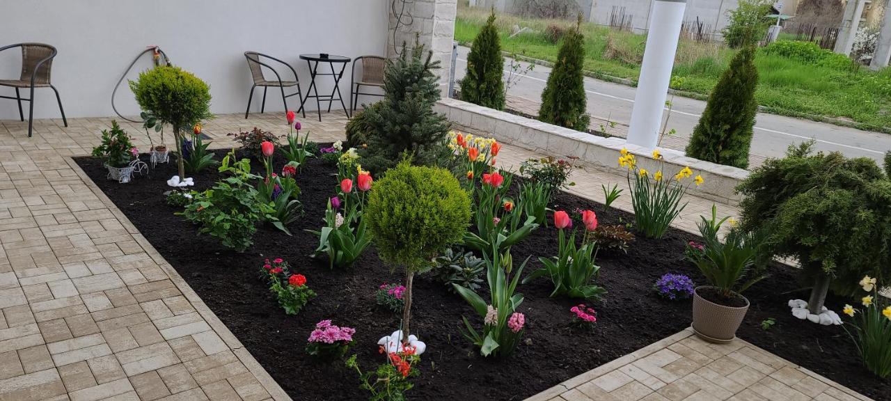 Casa Andi Apartman Năvodari Kültér fotó
